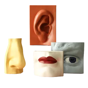 FACElift Vases