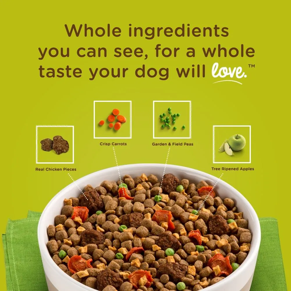 Rachael Ray Nutrish Dish Natural Chicken & Brown Rice with Fruit & Veggies Recipe Dry Dog Food